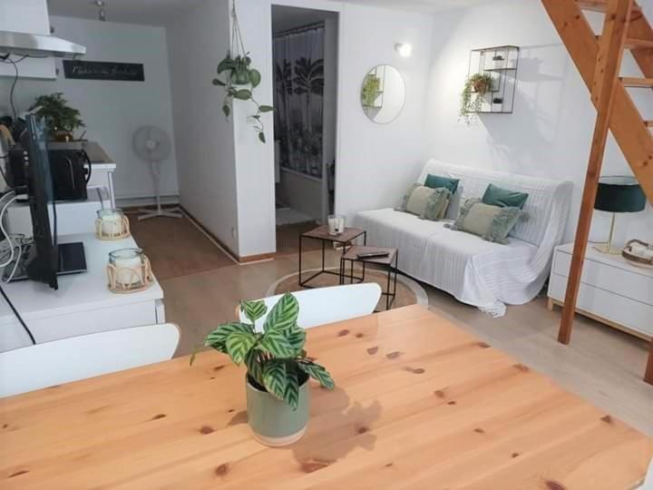 Duplex A La Gare Du Mans Bed & Breakfast Le Mans Eksteriør bilde
